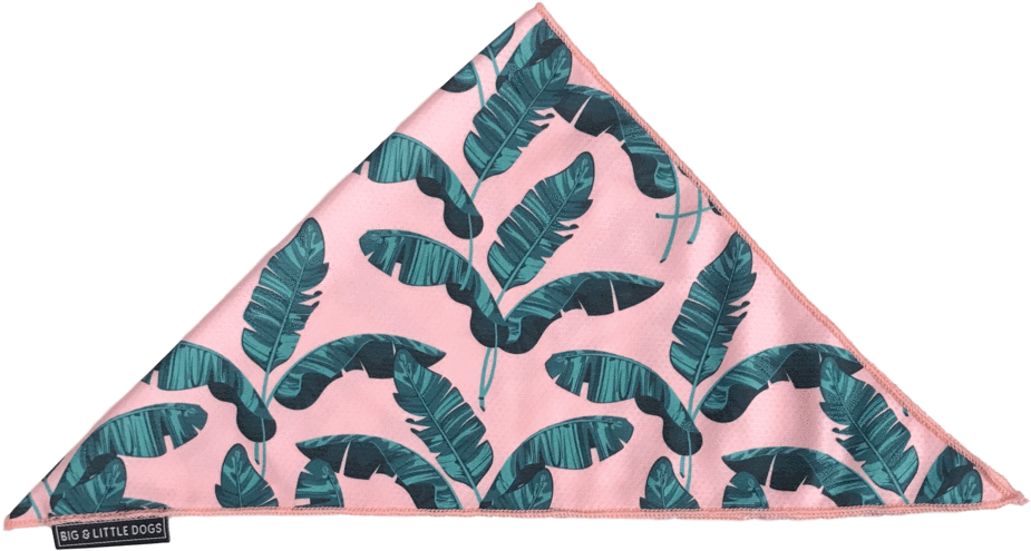 Neckerchief Bandana For Big And Small Dogs Tropical (1024x530), Png Download