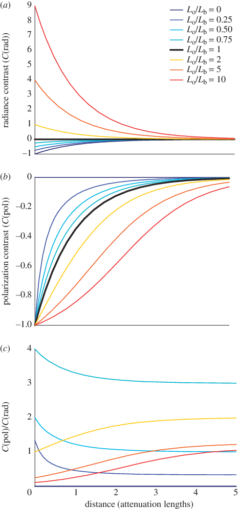The Polarization Weber Contrast Of An Inherently Unpolarized (465x996), Png Download