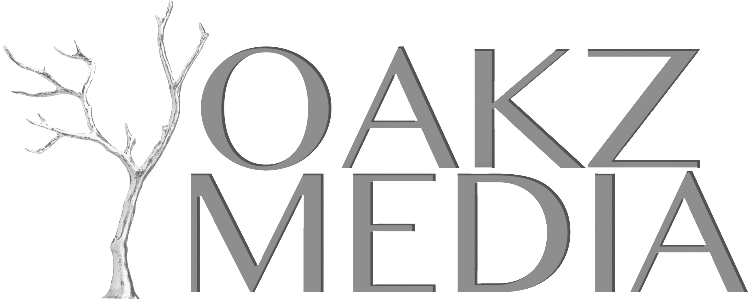 Oakz Logo No Bg (3024x1375), Png Download