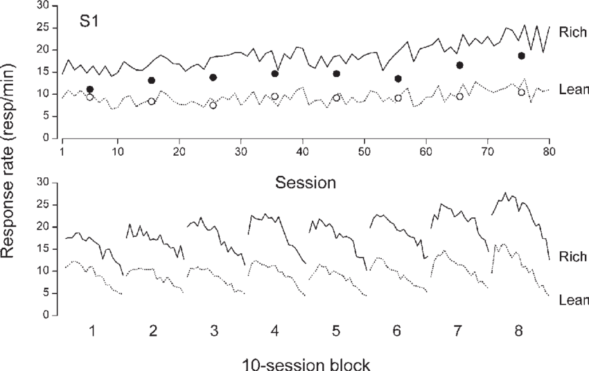 Daily Response Rates On The Rich Schedule And On The (850x536), Png Download
