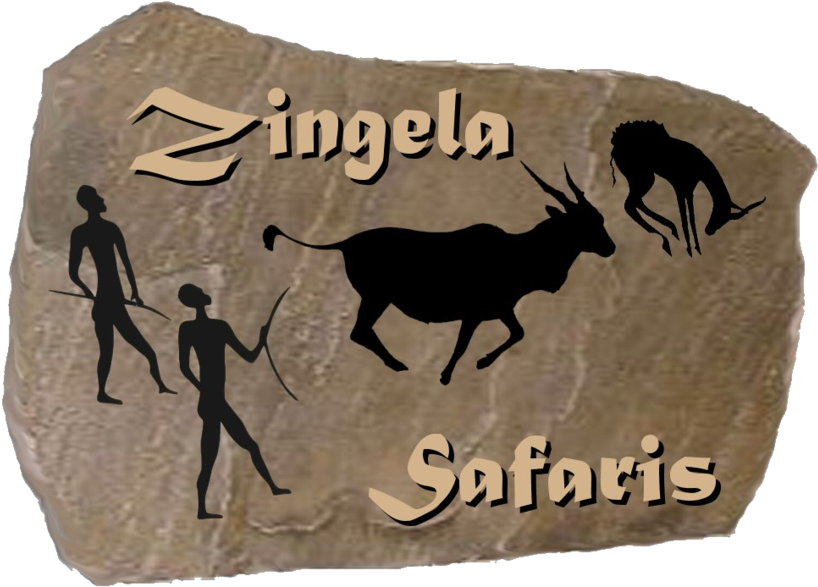 The Word 'zingela' Is Derived From The Xhosa And Zulu (900x650), Png Download