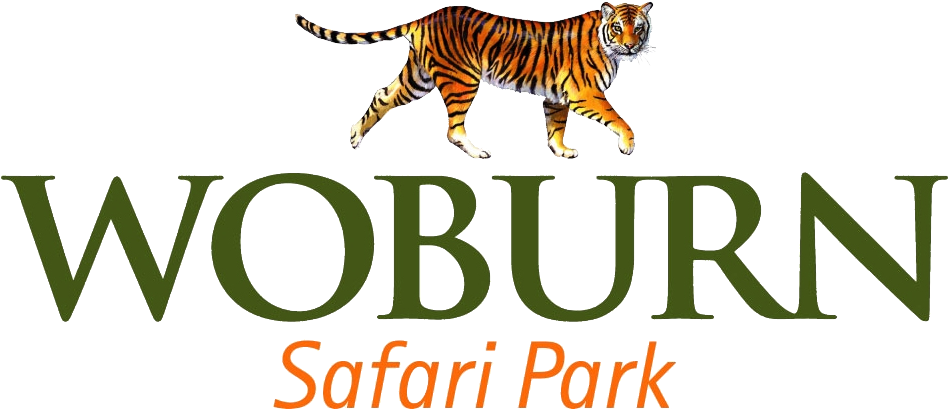 Woburn Safari Park (1006x467), Png Download
