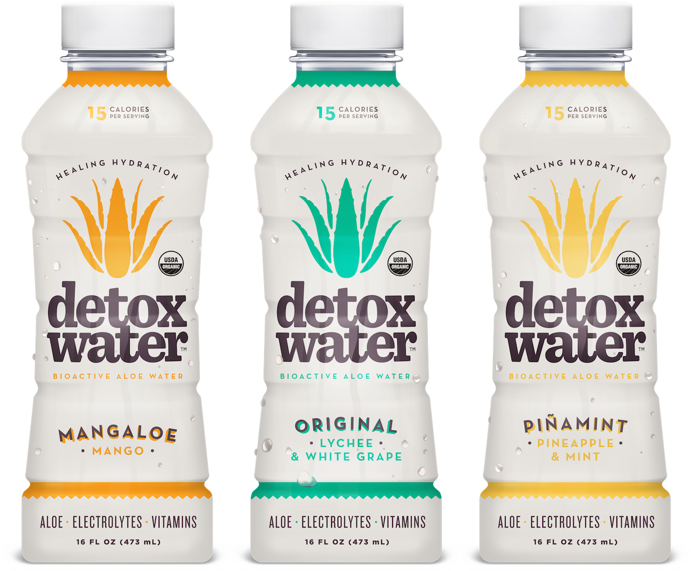 528984858 - Detoxwater-2015 (1417x1223), Png Download
