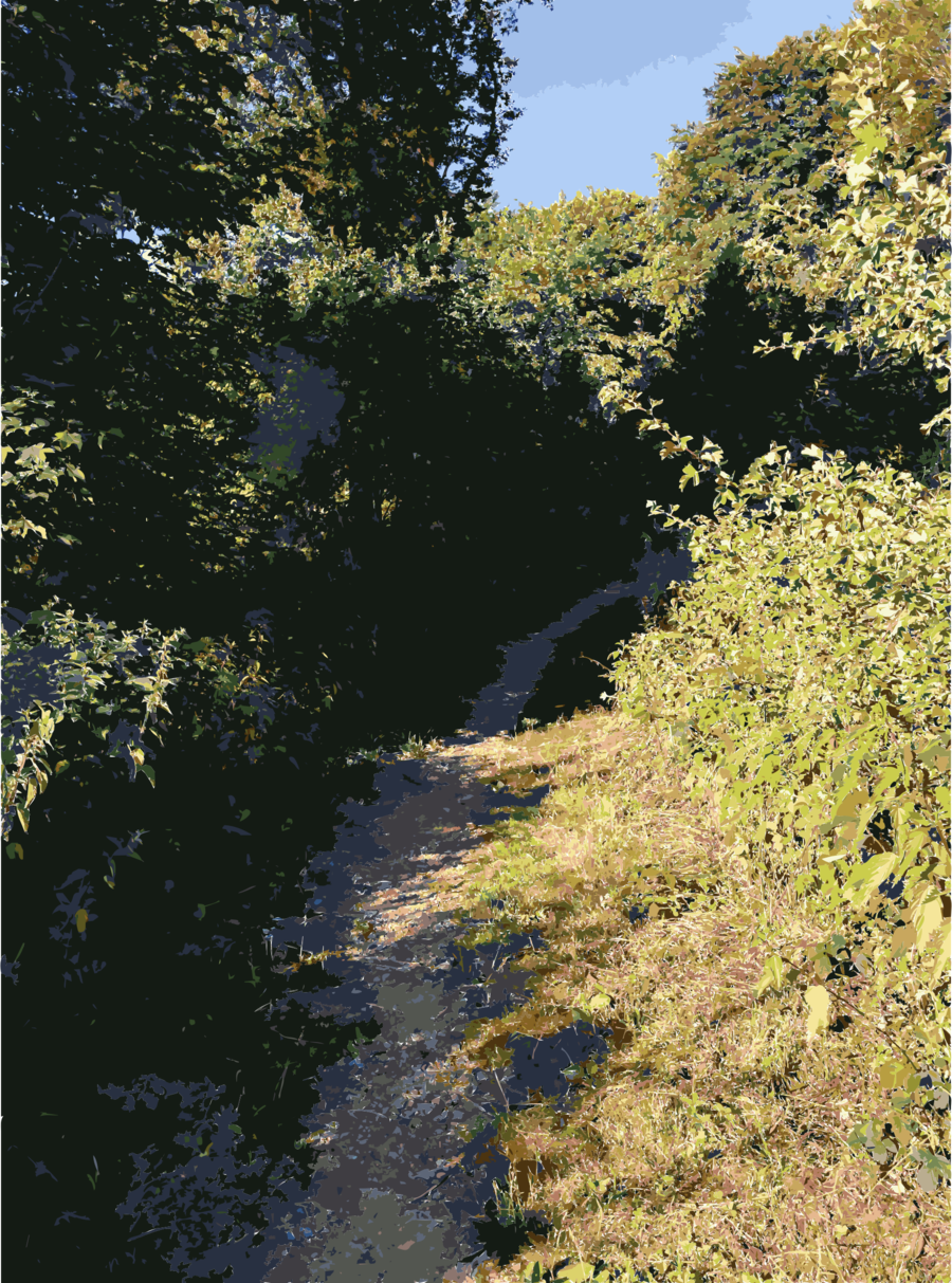 Lichtscheid Clipart Lichtscheid Forest Vegetation (900x1213), Png Download