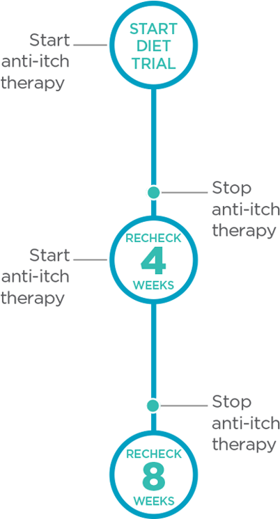 Relieve Itch With Apoquel During An 8-week Food Trial9 (500x790), Png Download