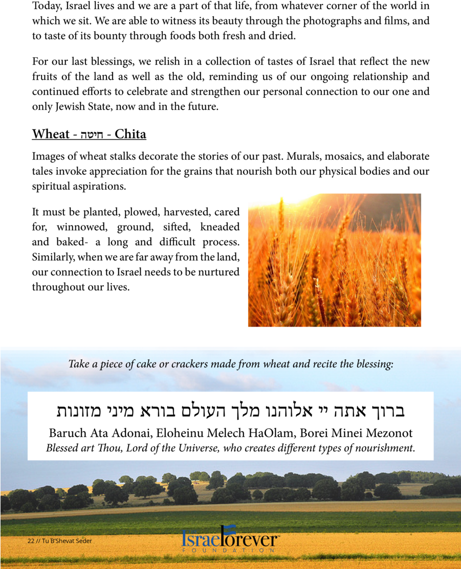 Today, Israel Lives And We Are A Part Of That Life, (900x1164), Png Download
