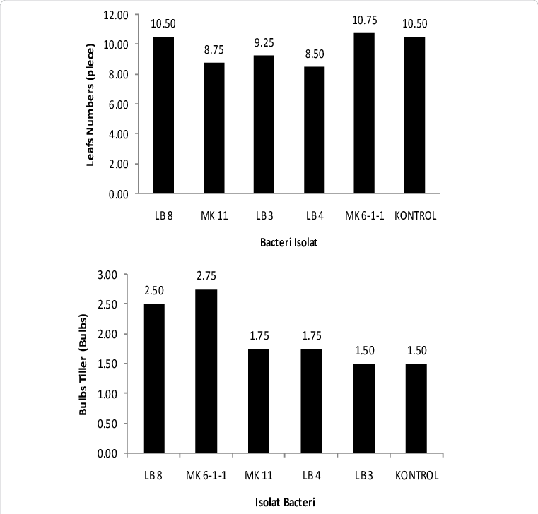 Leaves Number Of Shallot Bulb Tillers 1 Month After (761x728), Png Download