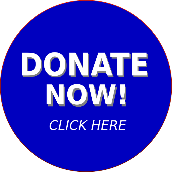 How To Set Use Donate Now Svg Vector (600x600), Png Download
