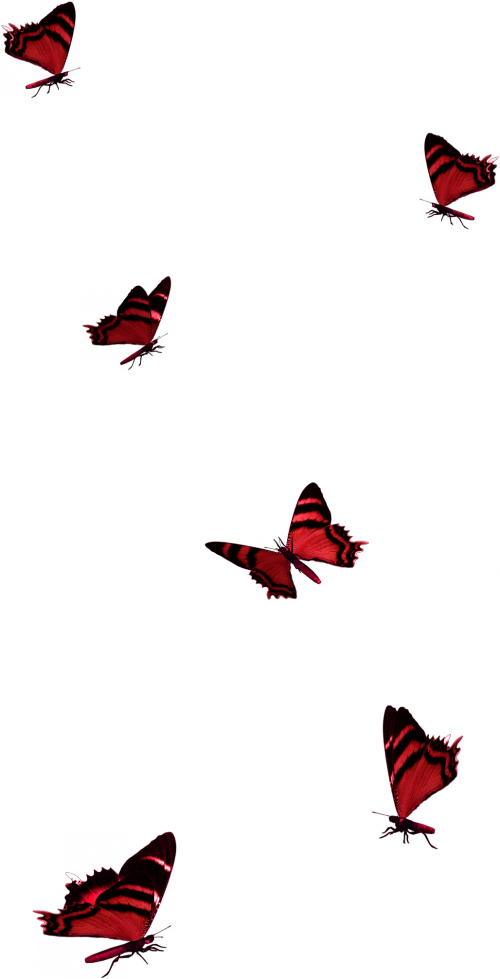 Tubes Varies Pngamusez Vous Biencaroline (500x979), Png Download