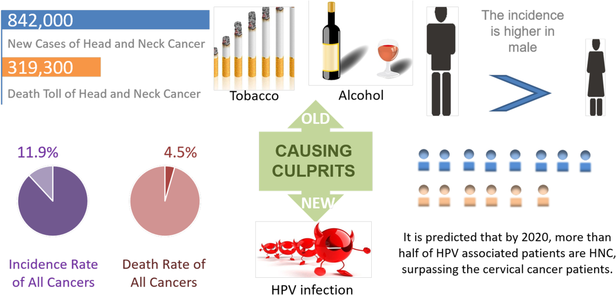 Nanoparticles Can Assist In Treatment Of Head And Neck (1269x607), Png Download