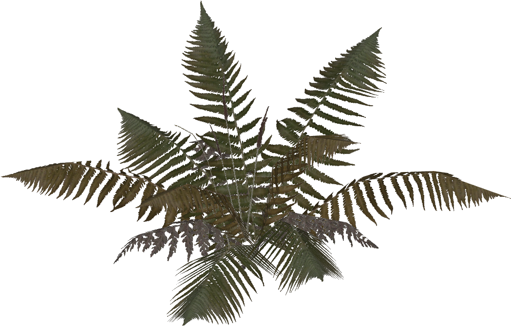 Bfplay4free Plant 5 (1048x1048), Png Download