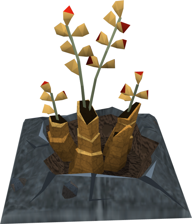 Plant .png (632x739), Png Download