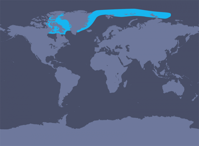 Distribution Map - (680x499), Png Download