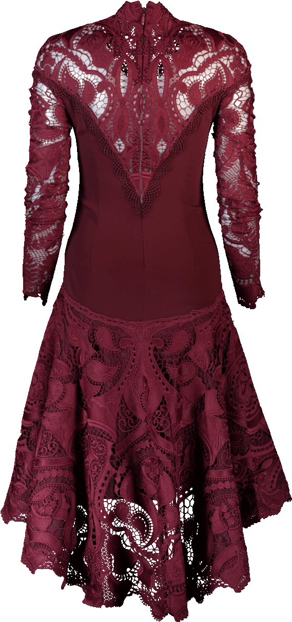 Jonathan Simkhai Crepe Applique Trumpet Dress In Oxblood (960x1223), Png Download