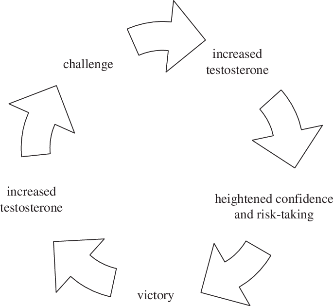 Schematic Representation Of A Winner Effect Mediated - Process Of Self Directed Learning (685x629), Png Download