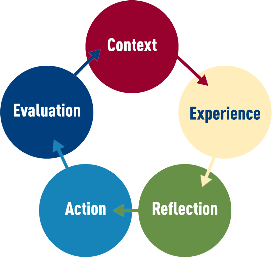 Flow Chart Using Circles And Arrows To Illustrate The - Australian Institute Of Export (975x956), Png Download