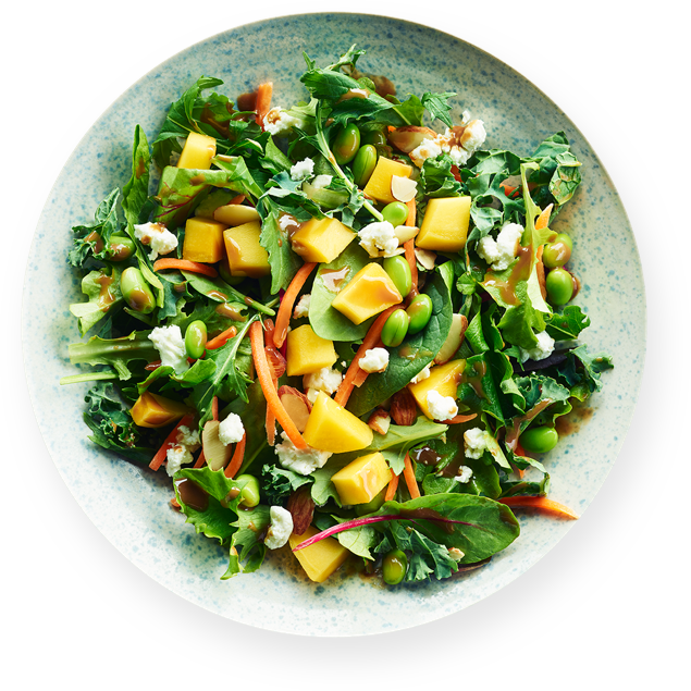 Download Salads & Wraps Icon Gluten Free Salads Outlined Panera