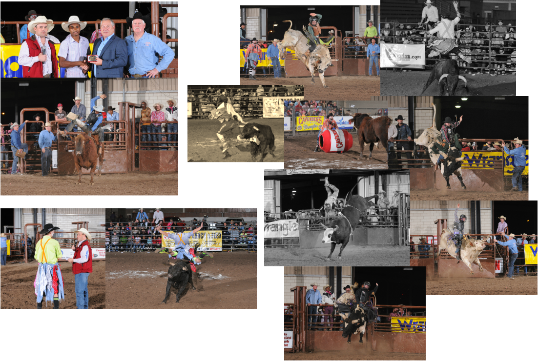 Collage (1102x740), Png Download