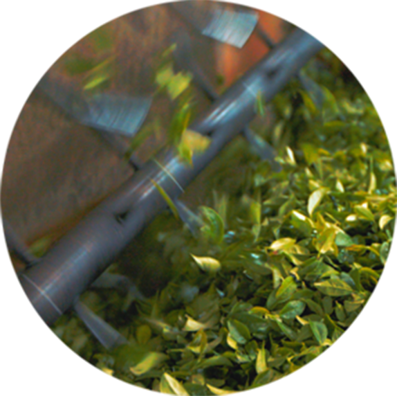 Innovation With Integrity - Circle (574x572), Png Download