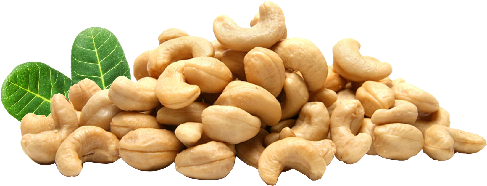 Cashew (1737x810), Png Download