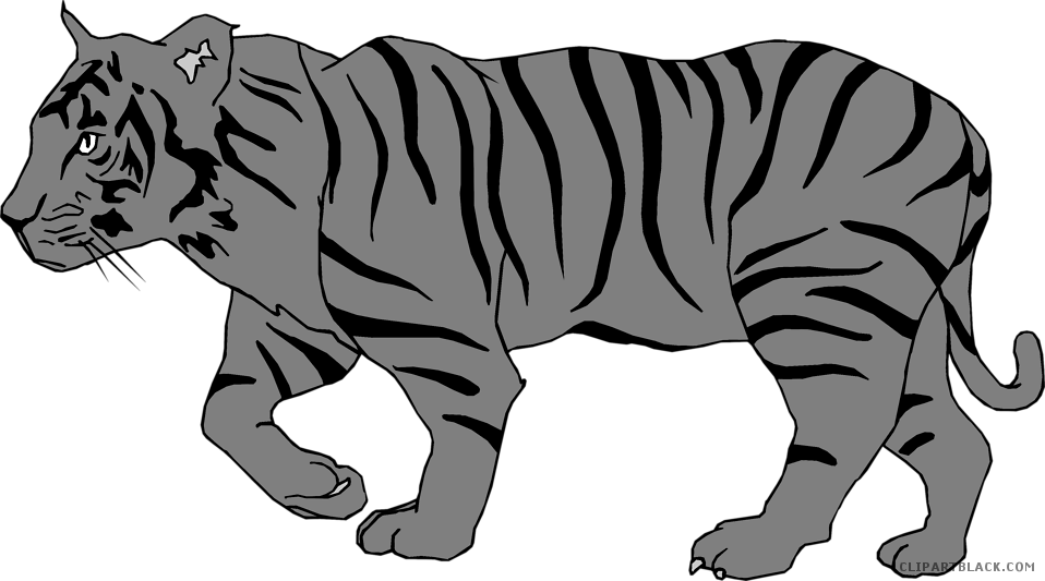 Animal Free Black Images - Rainforest Tiger Clip Art (958x533), Png Download
