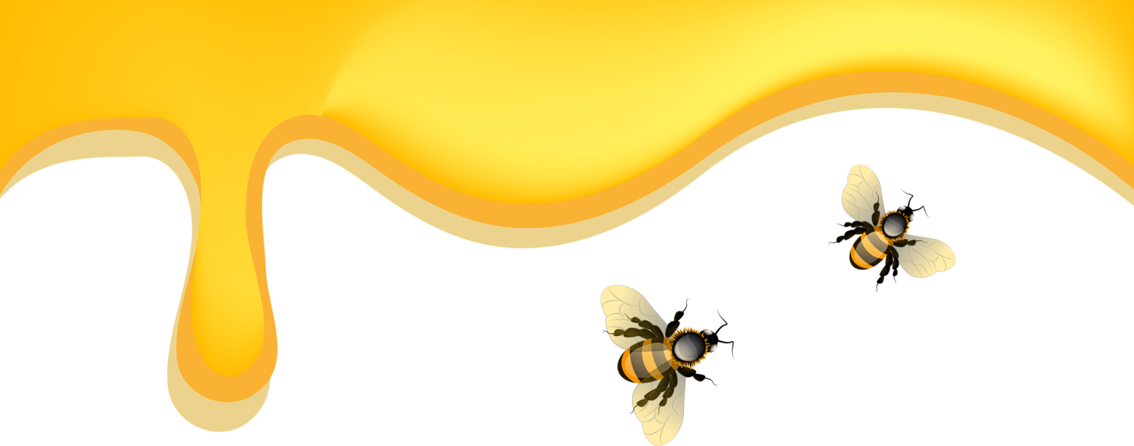 Honeybee (1600x629), Png Download