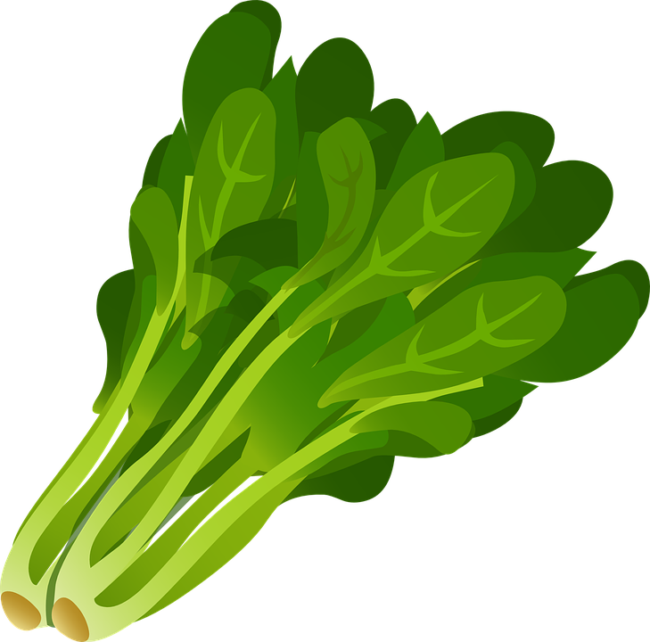 Clipart Of Vegetable, Vegetab E And Seaweed Long (729x720), Png Download