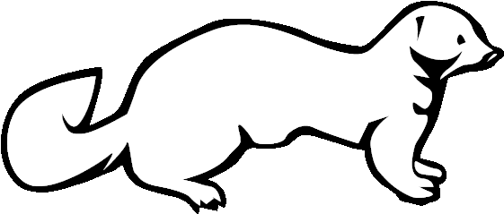 Weasel Clipart Mink - Line Art (612x792), Png Download