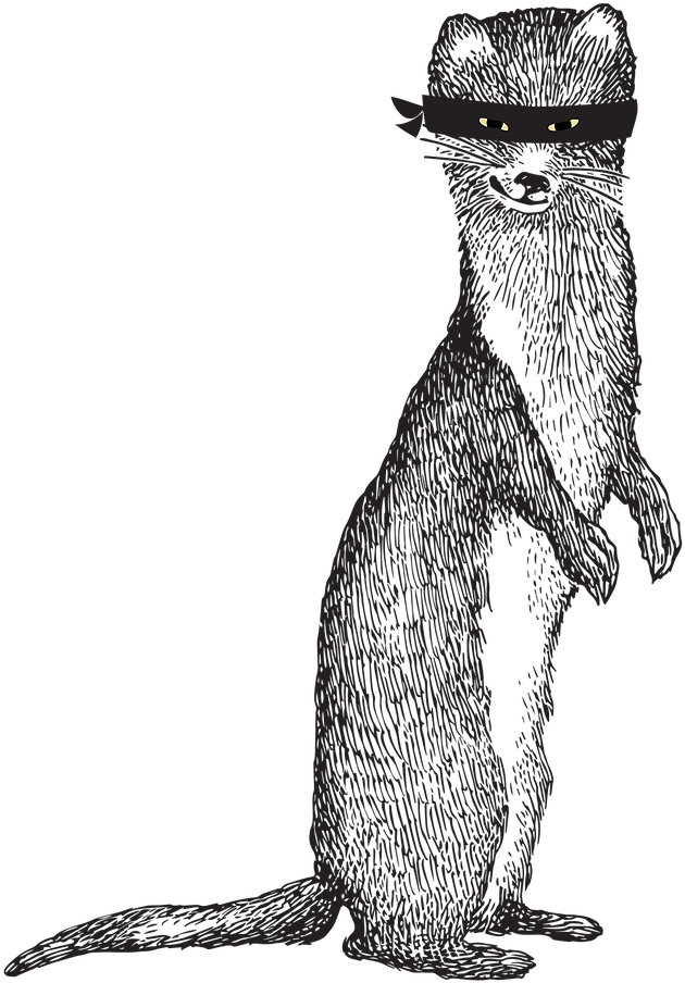 Download Sneaky Weasel Punxsutawney Phil Full Size PNG Image PNGkit