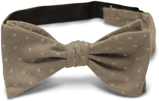 Image - Silk (1280x853), Png Download