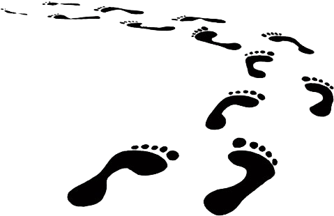 Gifs, Black Belt, Step Guide, Certificate, Step By - Footprints Clip Art (600x435), Png Download