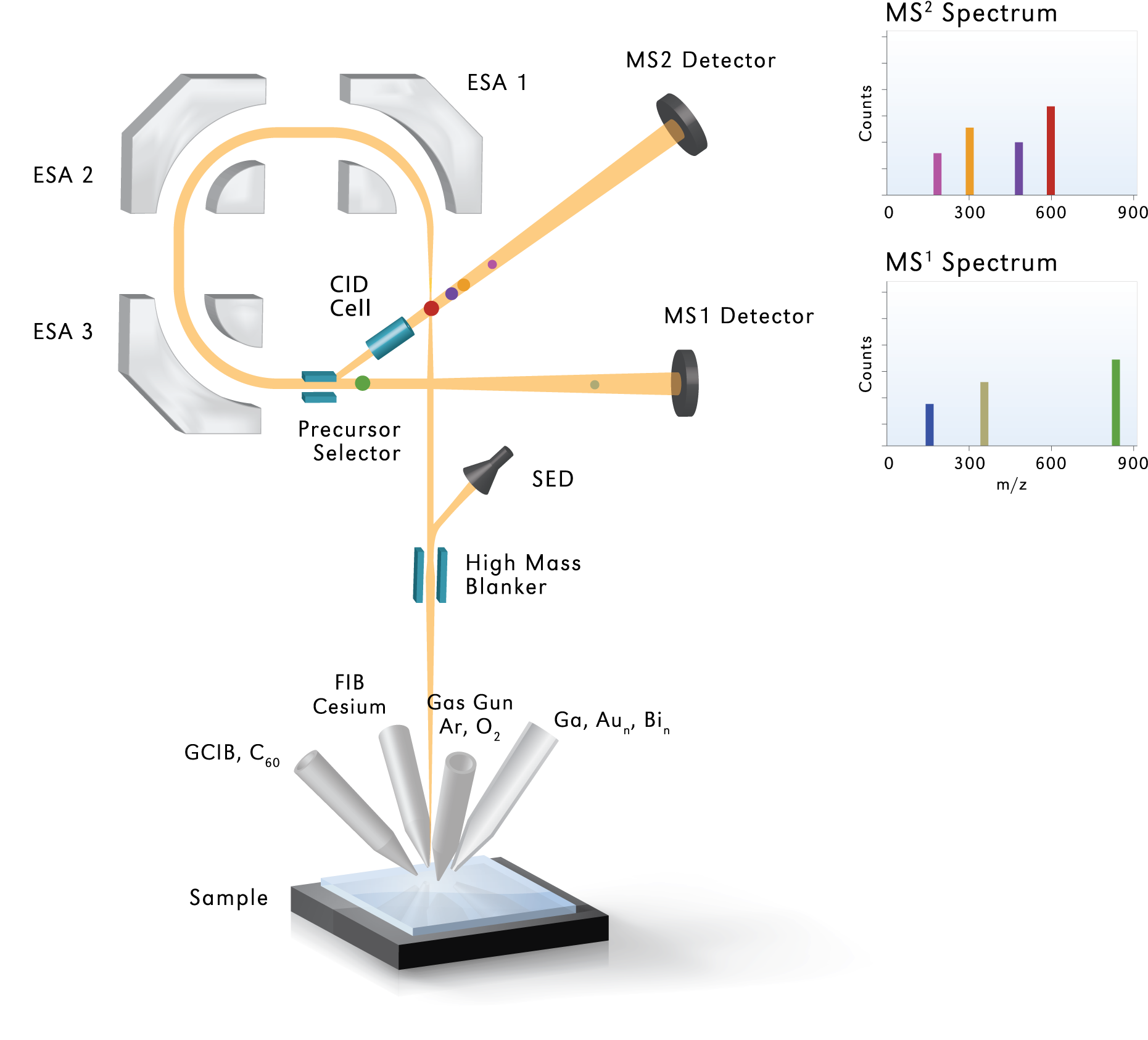 Phi Webinar Series - Diagram (1980x1884), Png Download