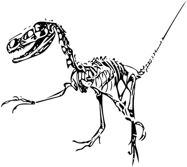 Fossilized Bones And Teeth Are Not Unique Traces Left - Fukui (960x540), Png Download