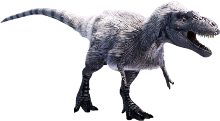 Bone-shattering Teeth - Dinosaurs Top Of The Food Chain (780x439), Png Download