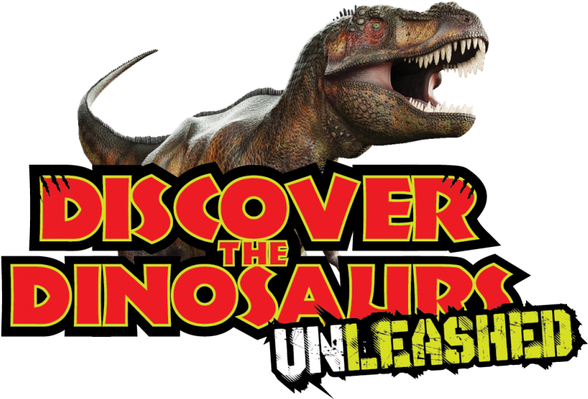 Discover The Dinosaurs 2017 (1100x629), Png Download