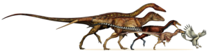 How Do You Get From Dinosaur Arms To Bird Wings It's - Dinosaur Bird Transformation (300x200), Png Download