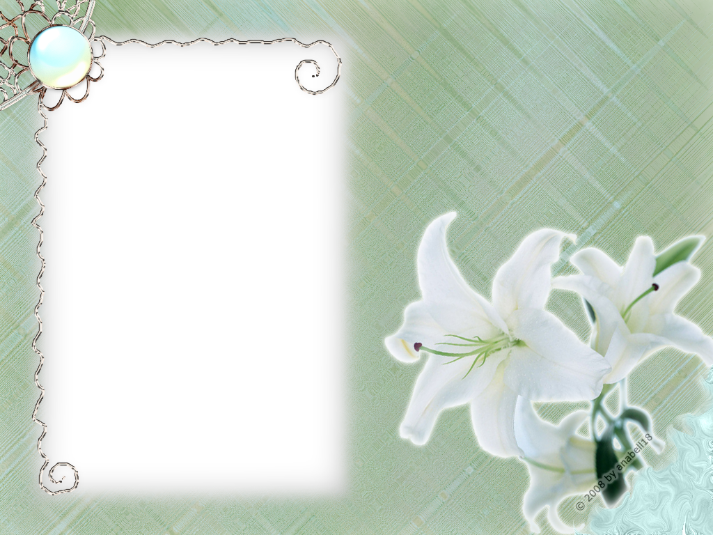 White Flower Frame Png Transparent - White Flower Frames Png (1024x768), Png Download