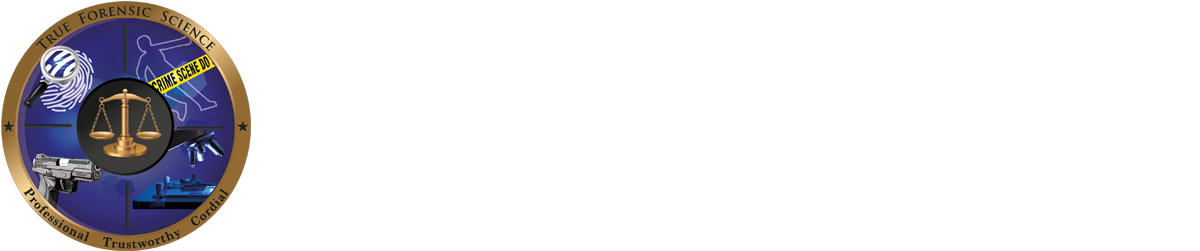 About Us - Ivory (1292x319), Png Download