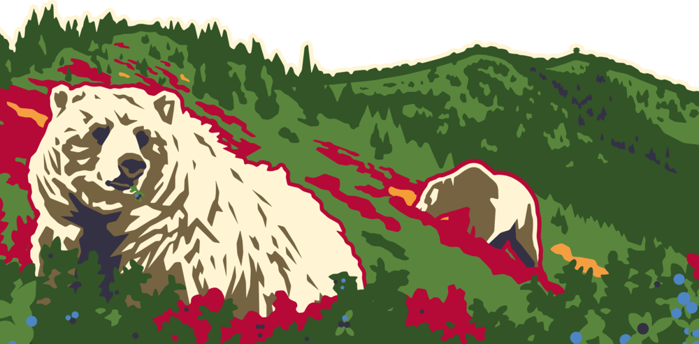 Wh Banner (1000x493), Png Download