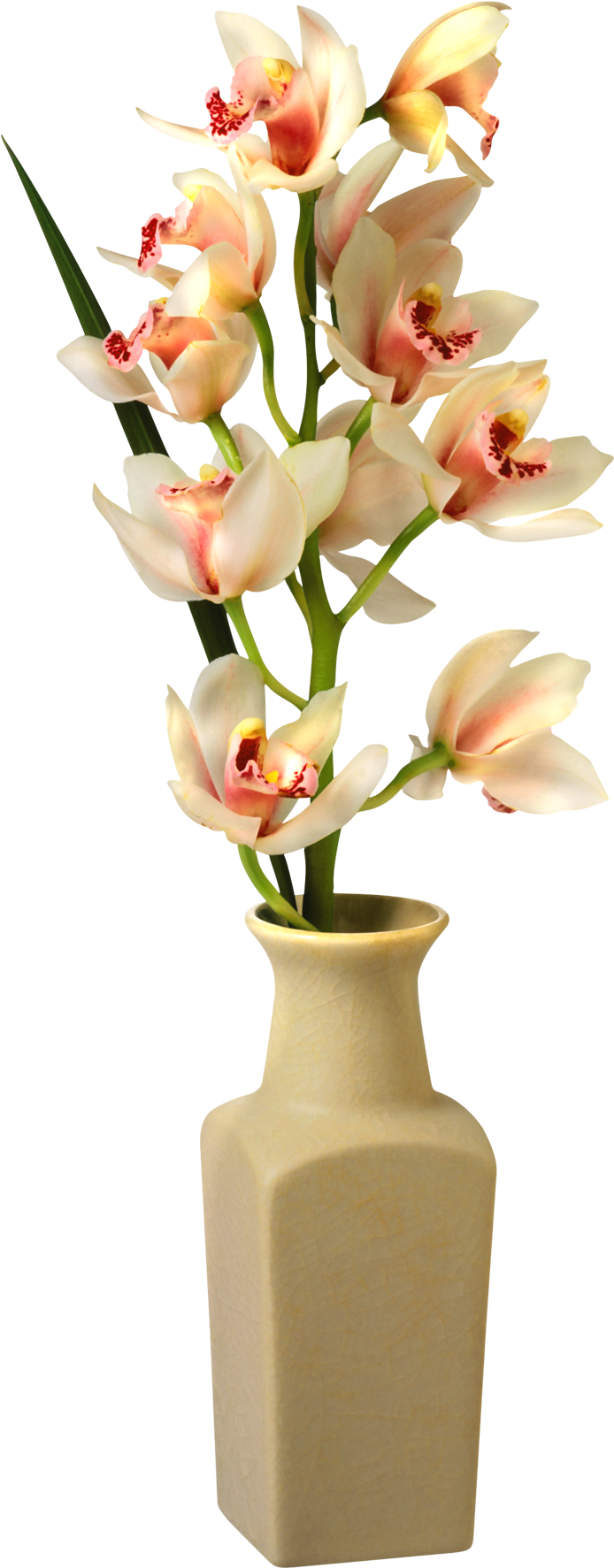 Flowers In Vase Png (729x1812), Png Download