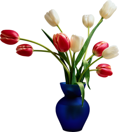 Flowers In Vases Photos Png Images - Blue Vase W Tulips (400x441), Png Download