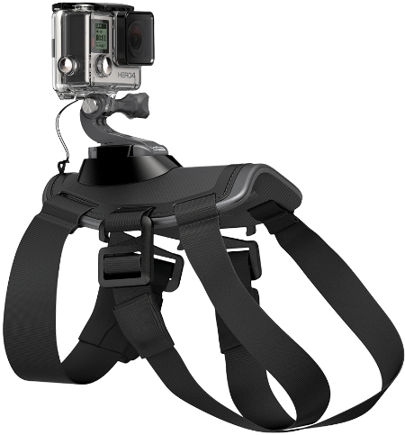 Gopro Fetch - Divinext Gopro Fatch Dog Harness (450x483), Png Download