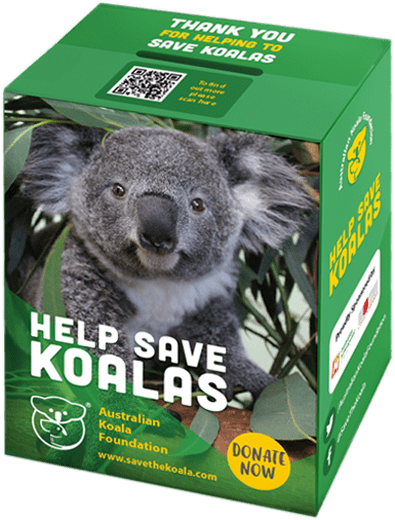 “she One Of The Most Inquisitive Members Of Our Koala - Snow (395x520), Png Download