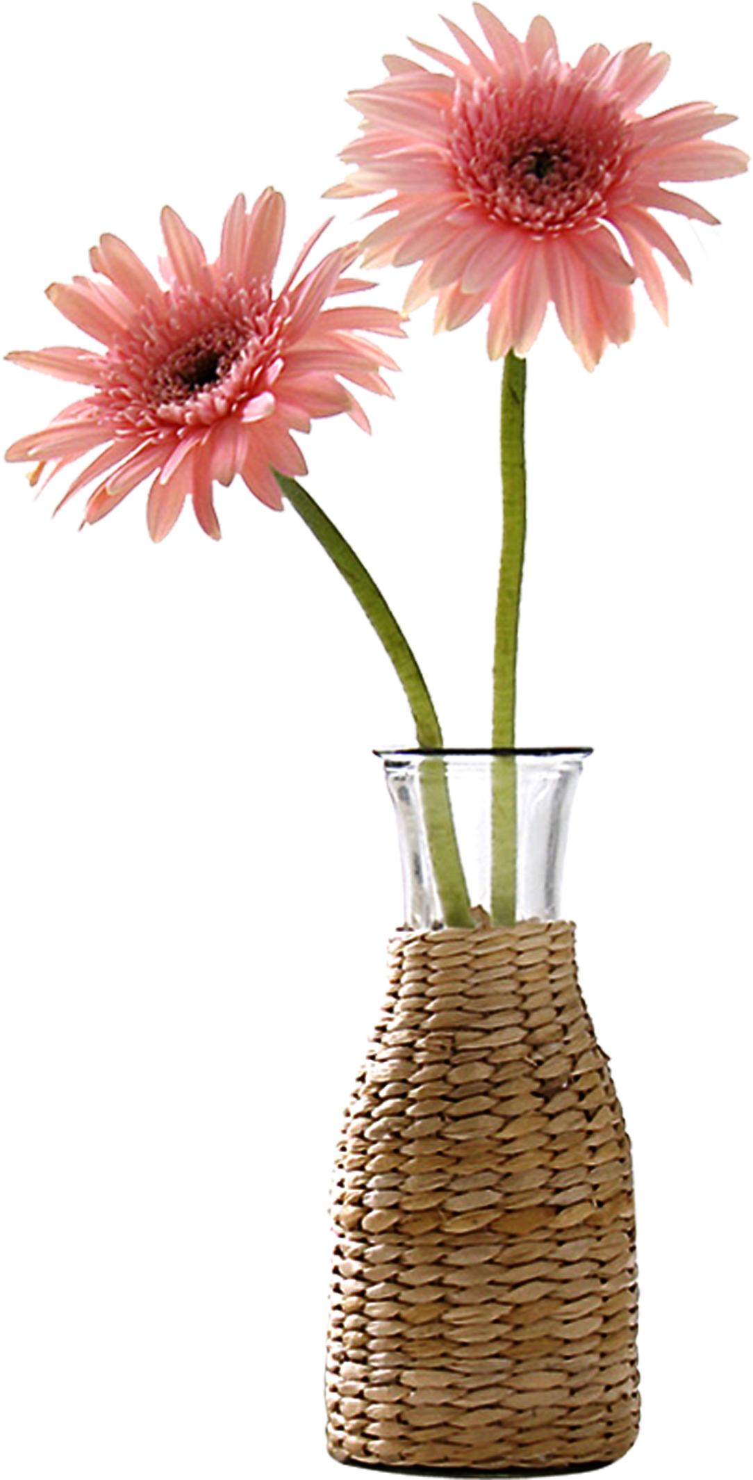 Beautiful Vase Flower Decoration Vector - Vase (2884x3167), Png Download