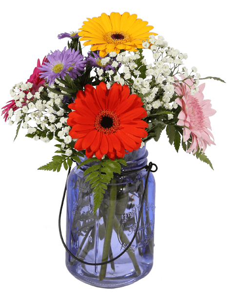 Mini Gerbera Vase, Purple - Bouquet (500x611), Png Download