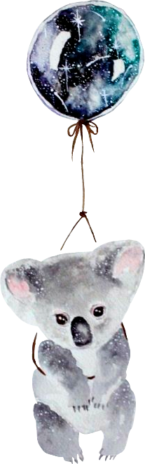 Report Abuse - Koala Watercolour Painting (207x661), Png Download