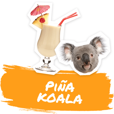 Pina Koala - Wild Dining Kyle Koala Side Plate White (480x480), Png Download