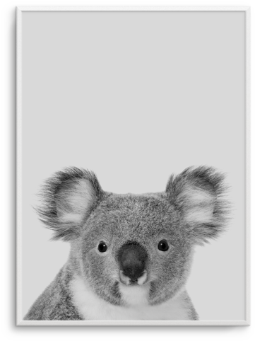 Grey Koala - Art (476x600), Png Download