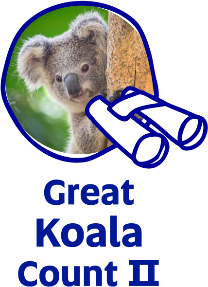 Facebook (500x626), Png Download