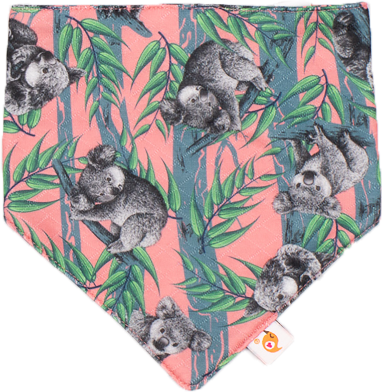 Koala Adventure Koala Adventure - Koala (1000x1000), Png Download